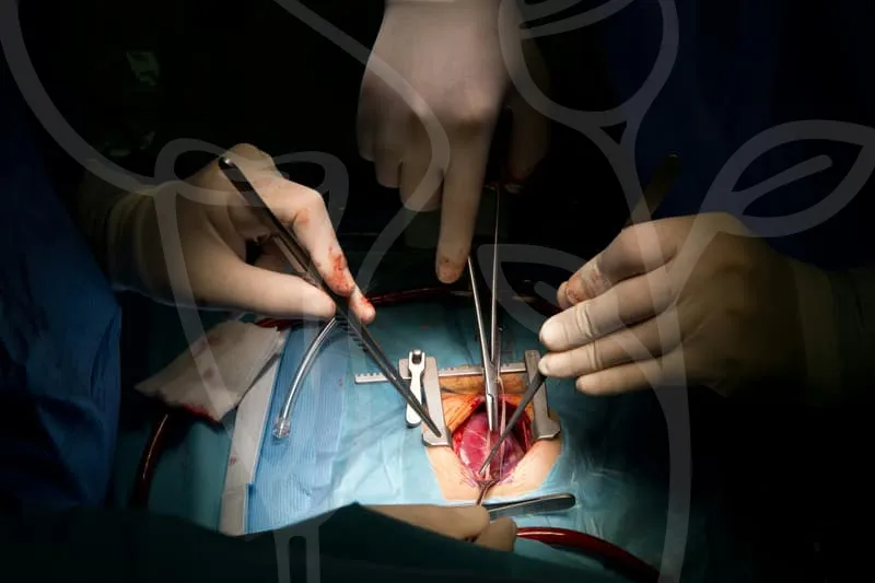 ANSAN_PLASTIC_SURGERY_CLINIC