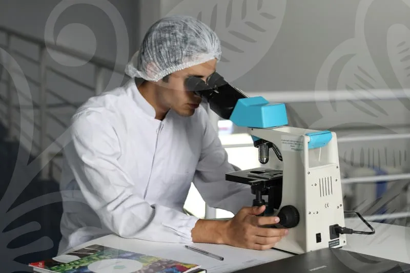 NONINCISIONAL_RHINOPLASTY