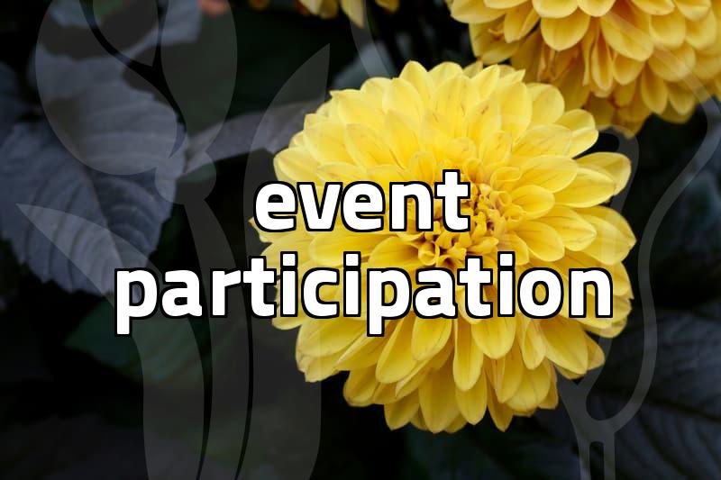 the mechanics of 룰렛 games and event participation