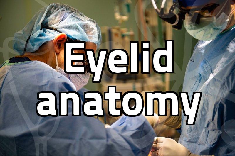 Practical considerations before deciding on eyelid surgery for your face