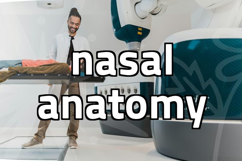 Practical considerations for rhinoplasty in your fifties